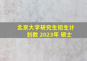 北京大学研究生招生计划数 2023年 硕士